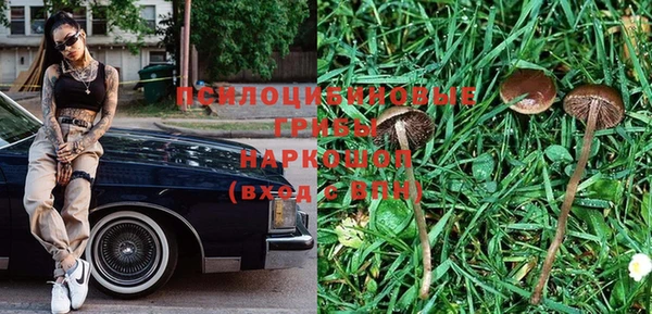 2c-b Богородицк
