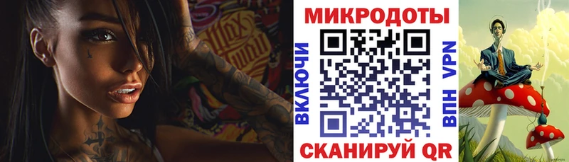 Купить  Починок  Галлюциногенные грибы Psilocybe 